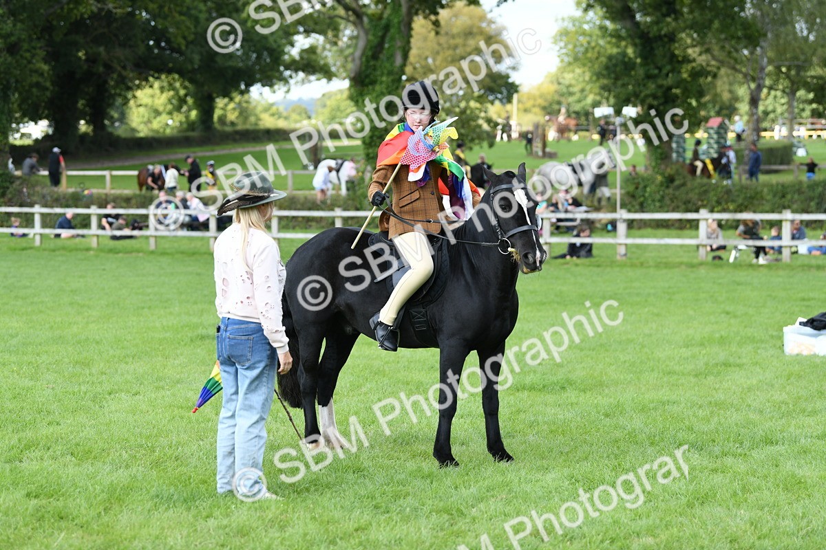 SBM_47063 - S12 - Family Horse & Pony