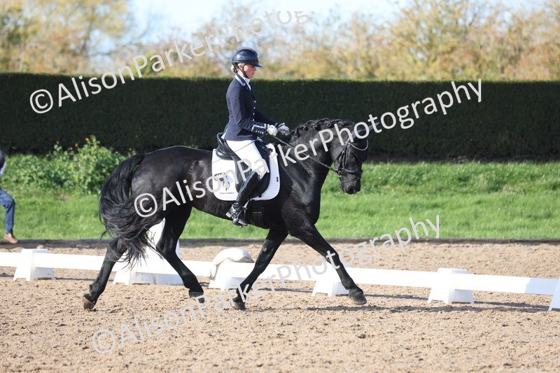 20251102-0617 - Class 4 - Novice 6