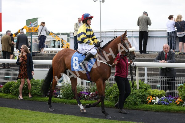 yr11062022r2-50 - Race 2 2.00pm Queen Mother's Cup