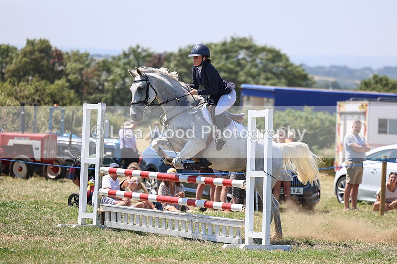 3E7A4403 - Class 10: Senior British Novice/90cm open