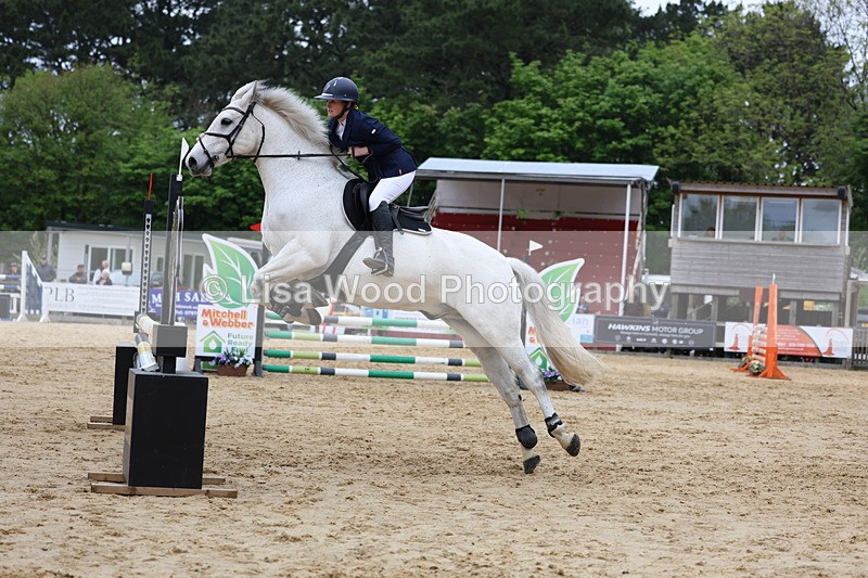 3E7A6367 - Class 4: Senior British Novice/90cm open