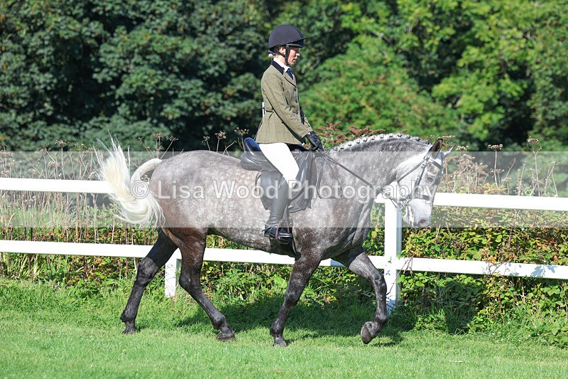 3E7A7824 - Class 2: Open Working Hunter pony