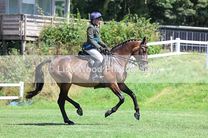 3E7A9166 - Working Hunter Championship