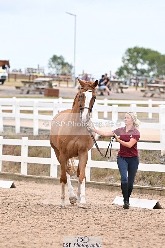 250716-160310-02368 - Trot Up 3.30 to 4.30