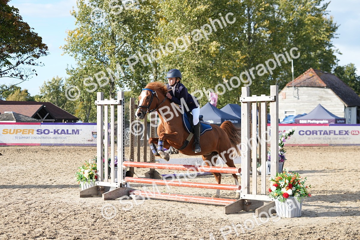 SBM_51160 - J8 - Junior Pony 65cm Championship