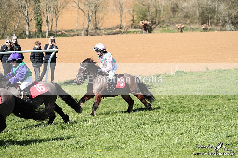 Shet 060426 305 - Shetland Pony Racing Paxford Races Easter Mon 06/04/26