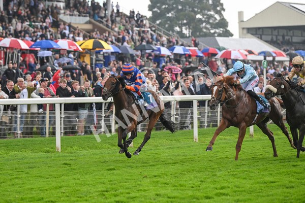 080924-Race 4-Zain Blue-9236 - Race 4 3.25pm PJ Staffing Group Handicap