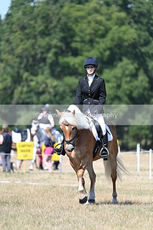 WJ7_0329 - Time 11:33 to 11:44