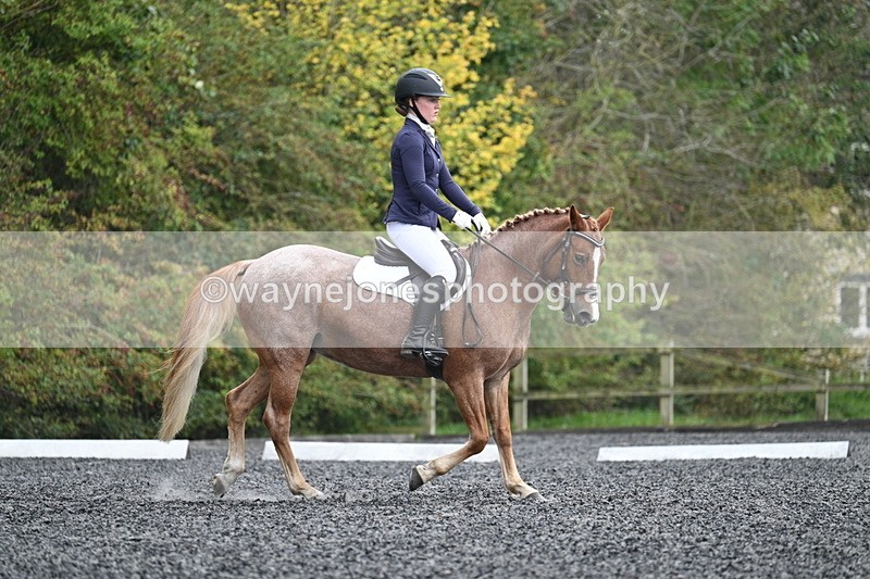 WJ7_3736 - Time 11:04 to 11:38