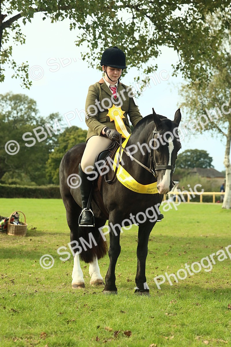 SBM_69400 - S58 - Mini Show Cob Ridden