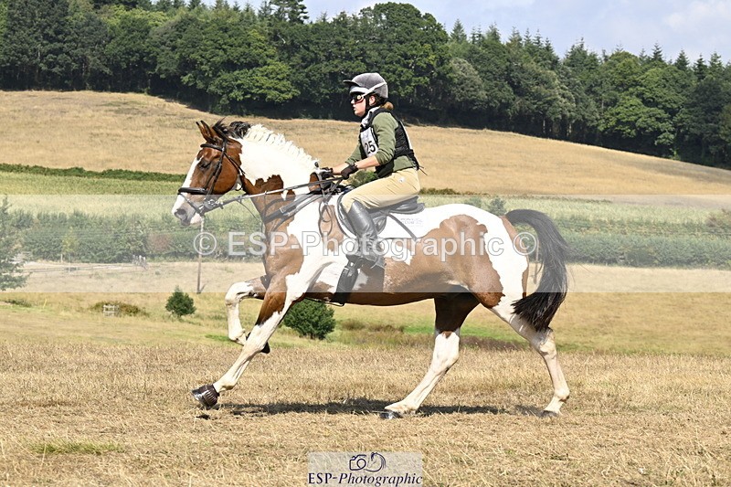 250824A-144024-38060 - 2125-Hen.Jeanes-Painted.proper