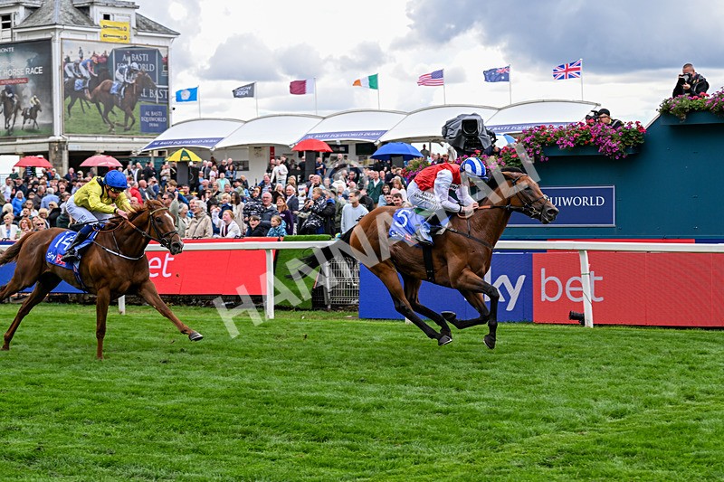 210826-Race 1-Blue Courvoisier-4981 - Race 1 13.50pm Sky Bet Mile Handicap
