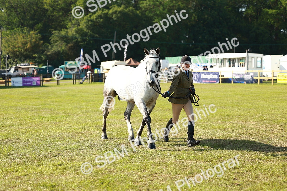 SBM_10815 - Class 66-69 - RIHS Ridden Hunters Inc Small Hunter