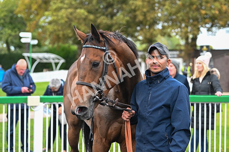 150925-Race 5-Draupnir-3095 - Race 5