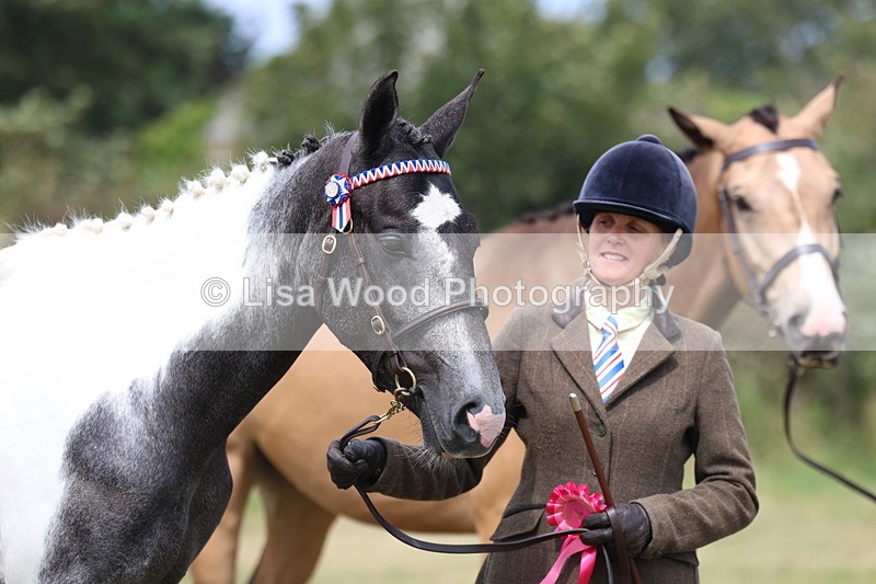 3E7A5609 - Class 20: Sports Horse In Hand