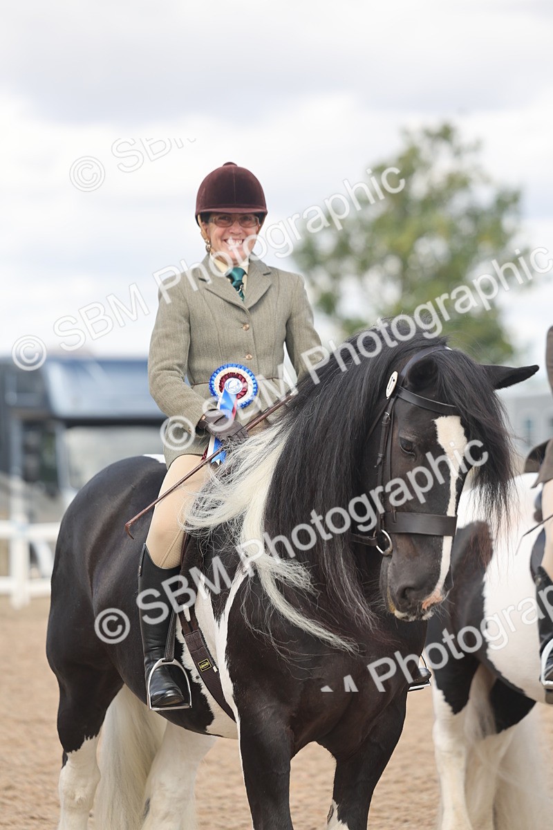 SBM_14846 - Class 308 - Ridden Coloured Horse