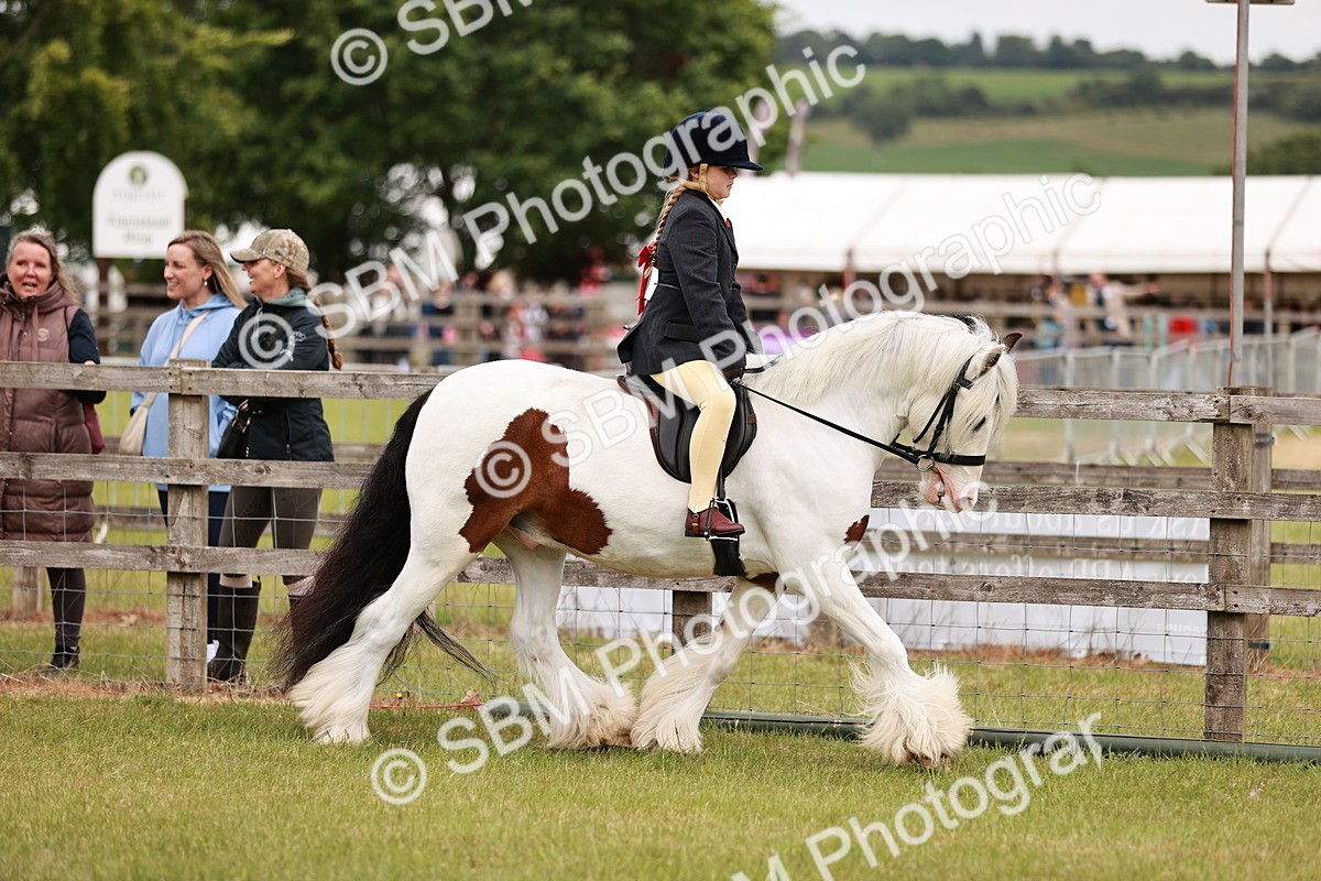 SBM_06116 - Class 39-41 TGCA In Hand and Ridden