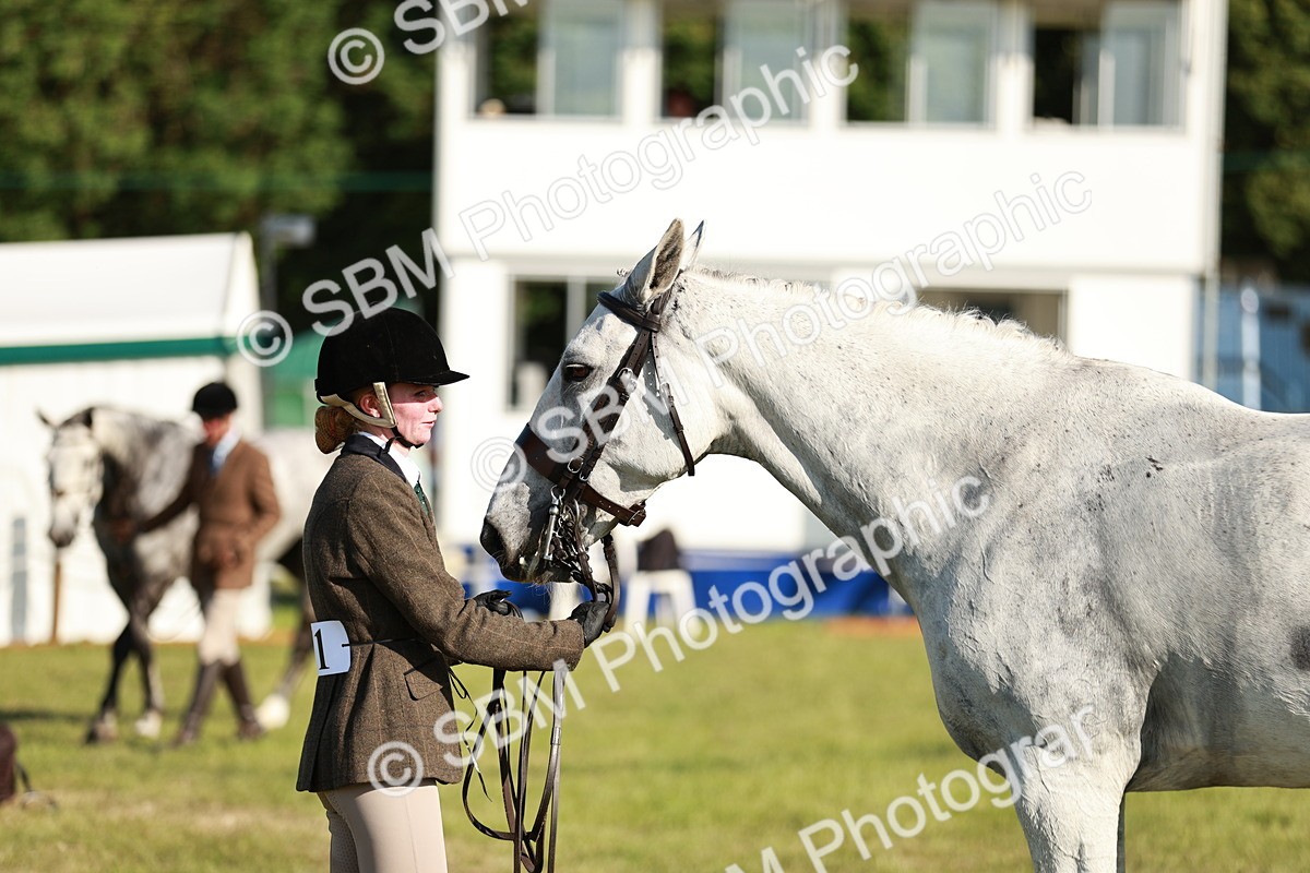 SBM_20023 - Class 115-116 - LIHS BSHA Rising Star Working Hunter & Show Horse