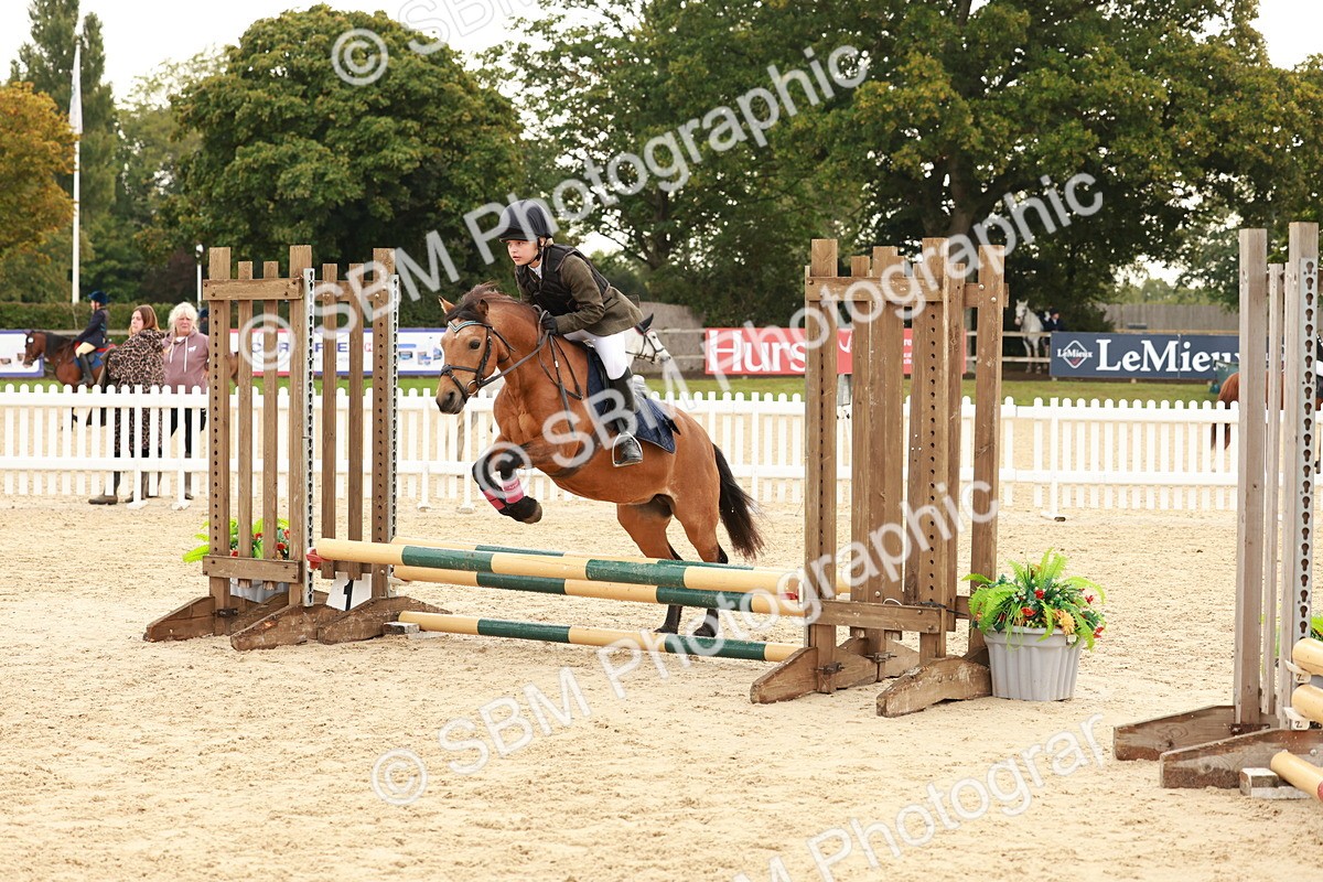 SBM_57609 - J11 - Junior Pony 50cm Championship