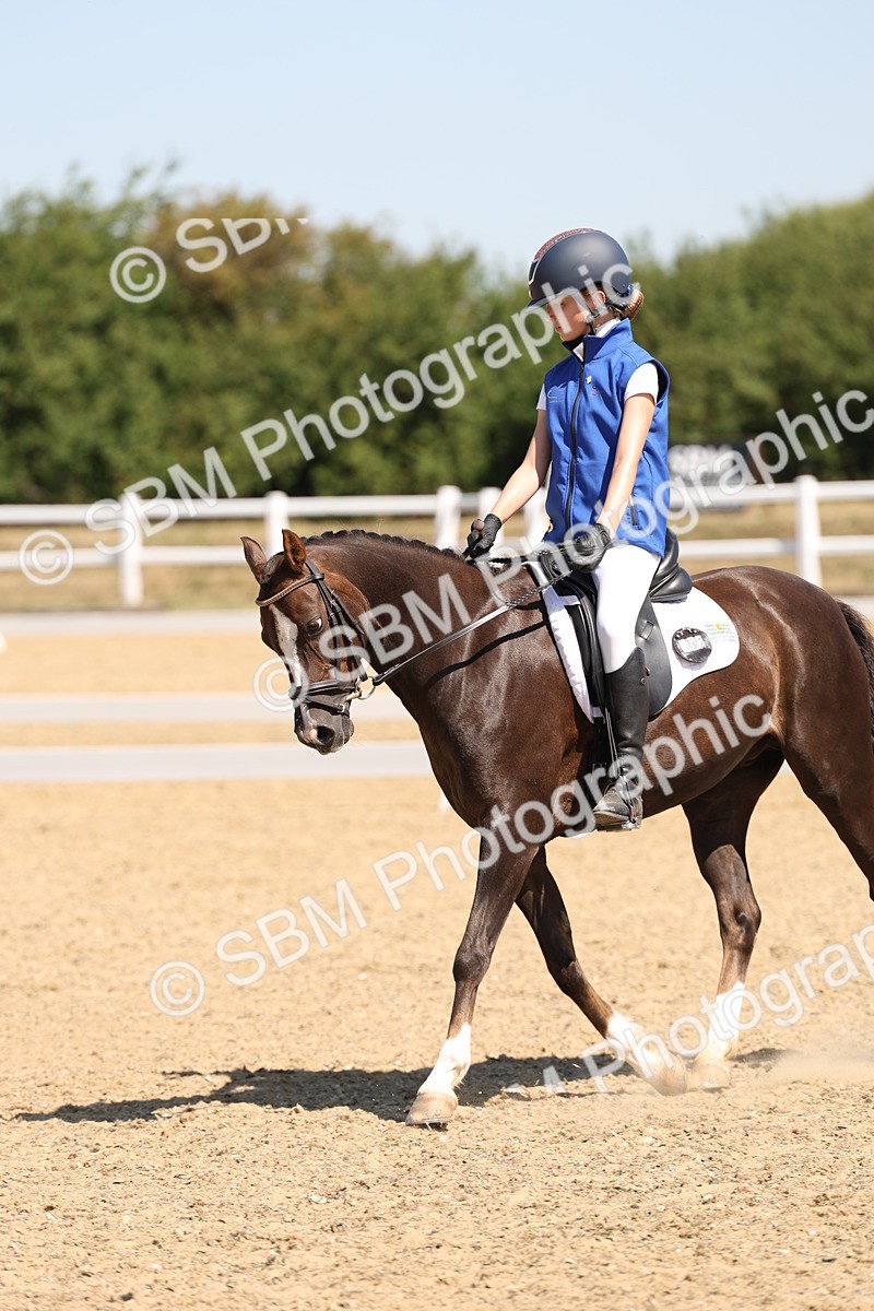 SBM_001185 - Intro 2