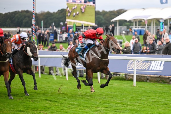 101025-Race 6-Dan Tucker-7081 - Race 6 Copper Knight Winning-Most Horse Handicap at York