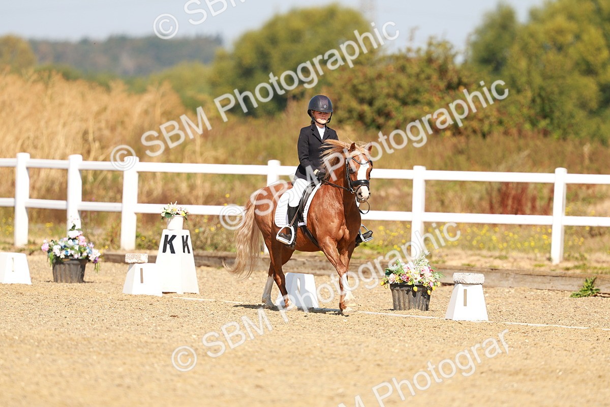 SBM_017565 - Class 9 - N5 Bronze 10.33.11.36