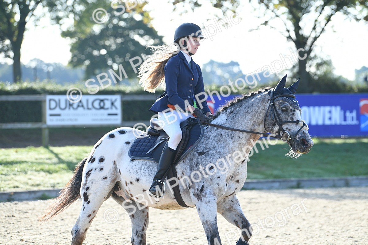 SBM_58340 - J24 - Junior Horse 75cm Championship