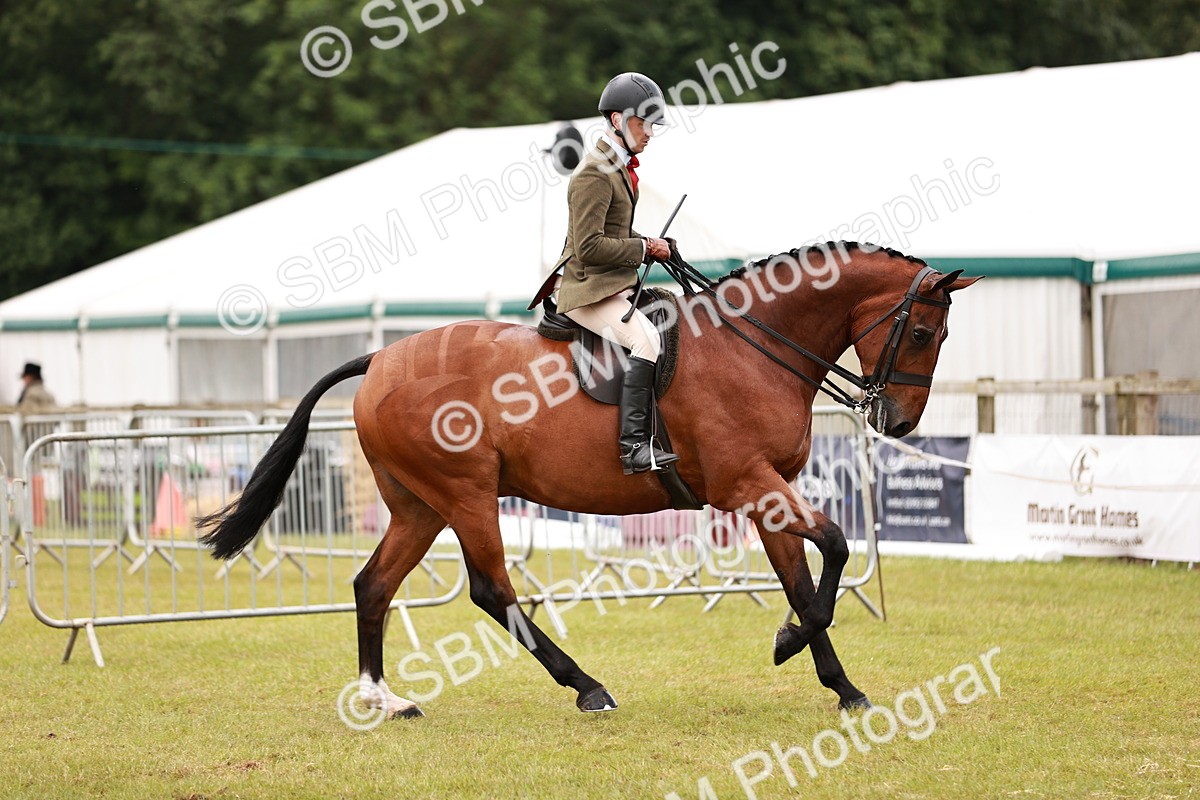 SBM_11550 - Class 81-84 - RIHS Ridden hunters Inc Ladies Hunter