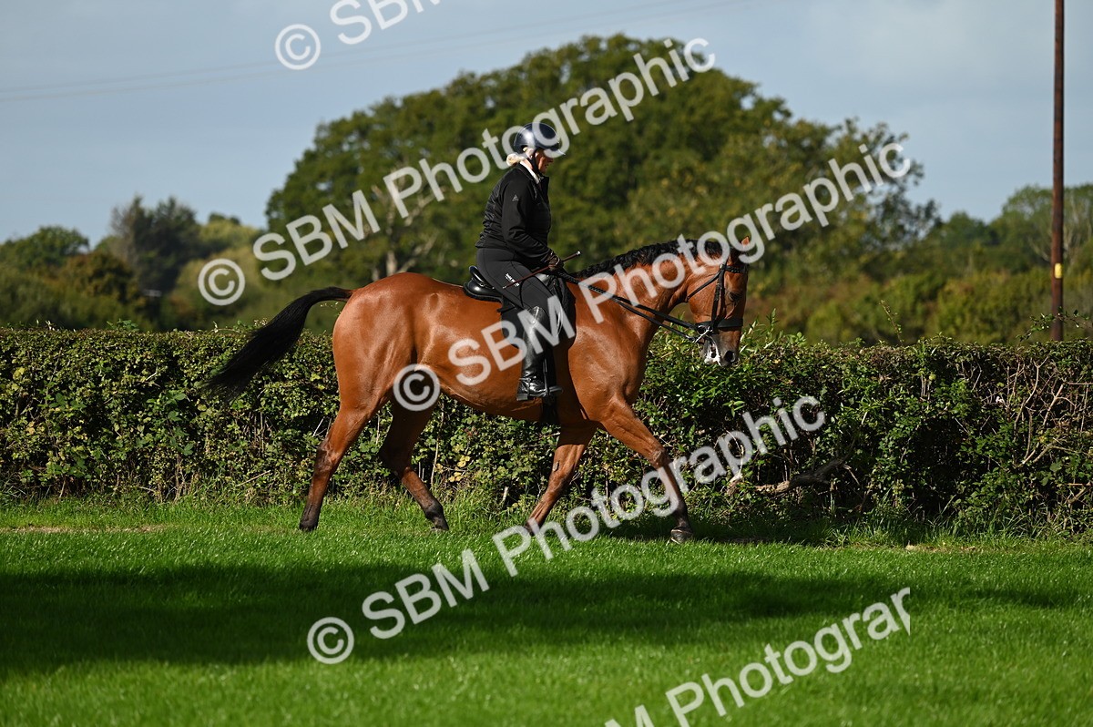 SBM_01338 - S2 - TSR Ridden Horse Showing