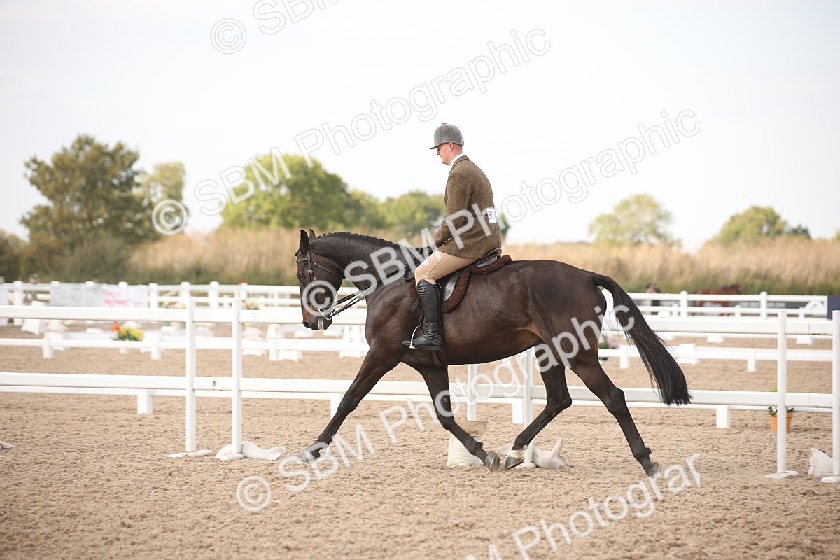 SBM_08782 - Class 12R Regional Ridden Pre-Vet