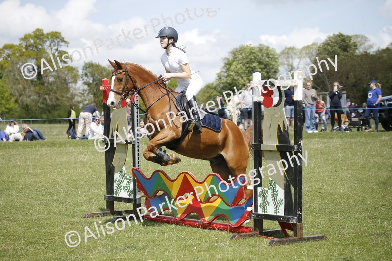 20250427-3700 - Class 14 - Absolute Novice 70cm