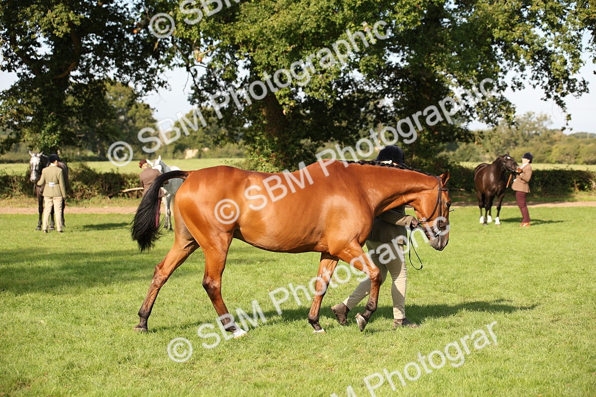 SBM_60113 - S53 - Hunter In Hand