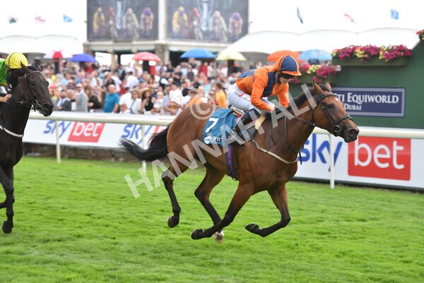 yr23072022r7-31 - Race 7 5.35pm Sky Bet Paying Extra Places Stakes