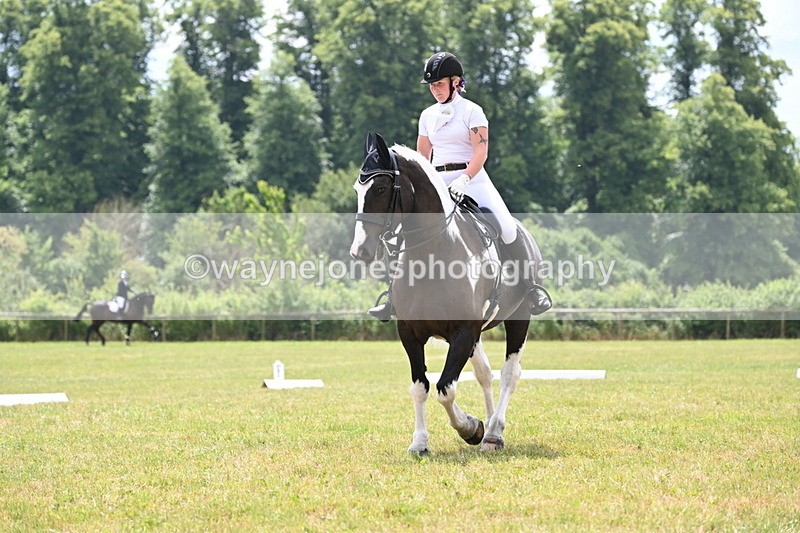 WJ6_6877 - Time 11:48 to 12:22