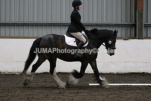 SIAL4321 - CAbin Dressage 5th july 2025