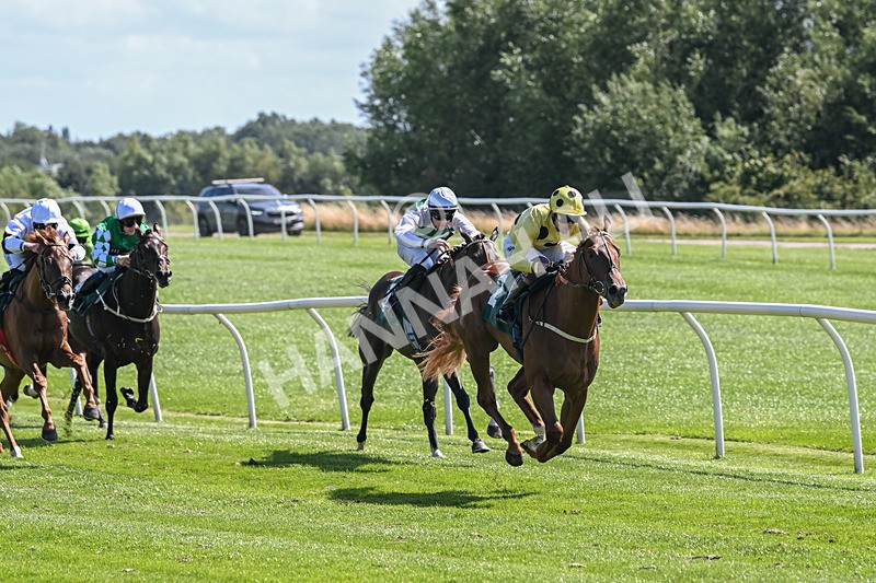 050825-Race 1-Reverberate-5025 - Race 1