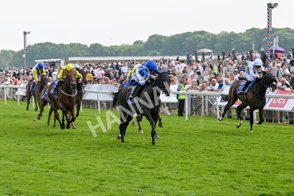 170524-Race 3-Devoted Queen-7870 - Race 3 3.15pm Sky Bet Fillies' Stakes (Registered As The Michael Seely Memorial Fillies' Stakes)