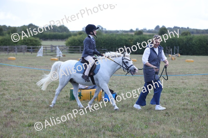 20250831-2374 - Class 16 - Family Pony