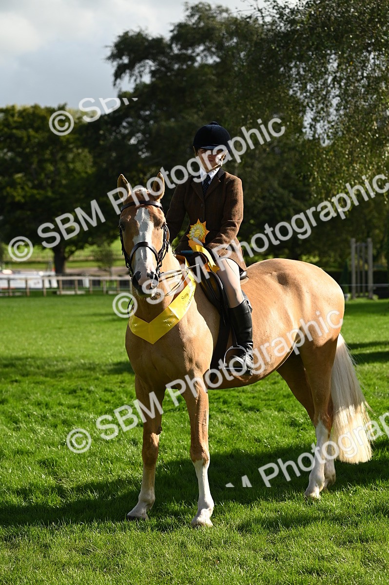 SBM_26468 - S6 - Novice & newcomer Ridden horse