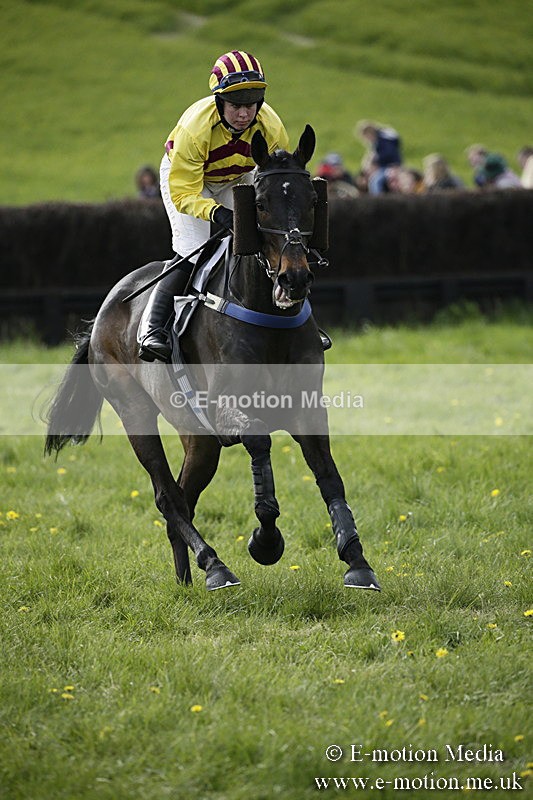 PtP 170417 440 - Old Berks Point-to-Point Lockinge 17/04/17