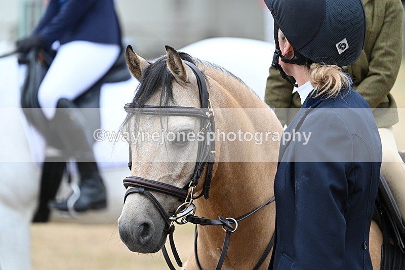 WJ7_7130 - Class 2 Best Rider