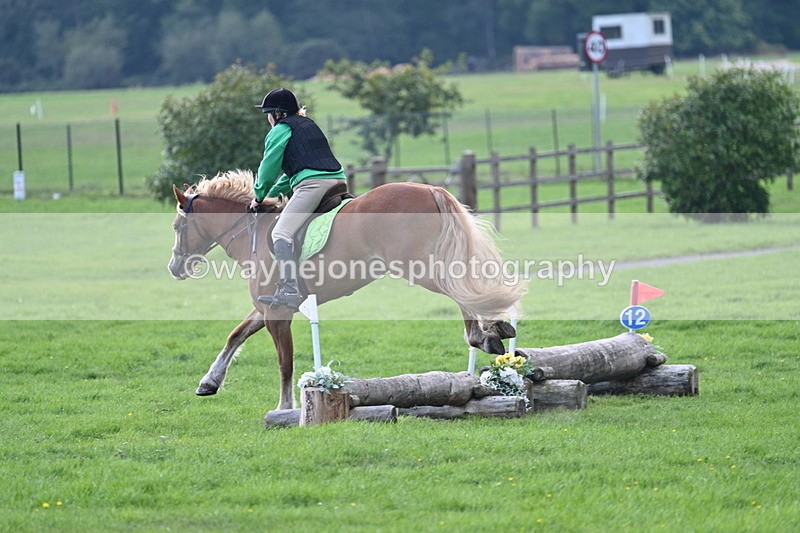 WJ7_3538 - 40cm Time 10:08 to 10:25