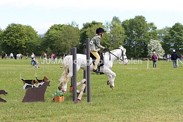 IMG_3017 - Working Hunter
