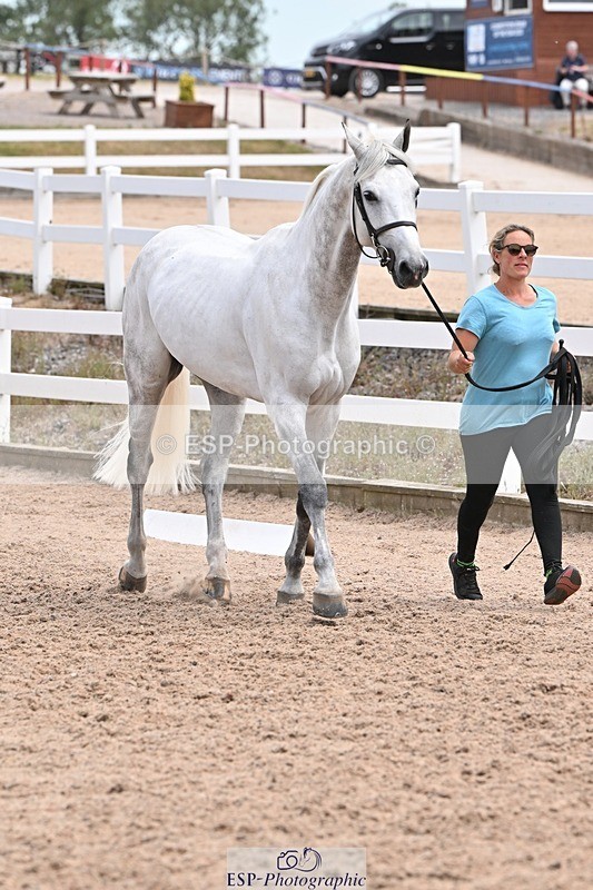 250716-142227-01049 - Trot Up 1.30 to 2.30
