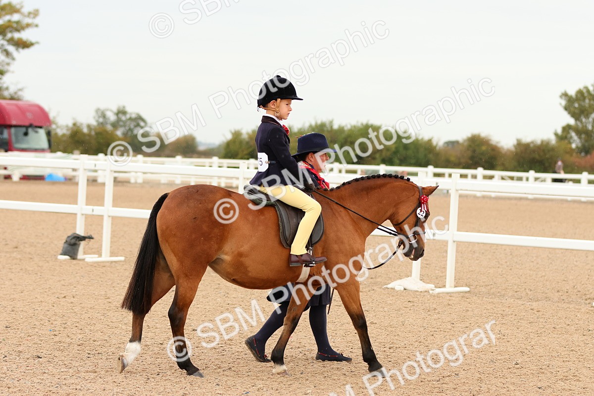 SBM_16489 - Class 701 - Best Turned Out (IH  or Ridden)