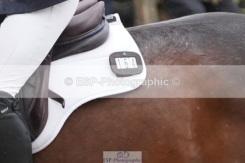 261024A-110631-19257 - B-164-Quidley.Kellermann