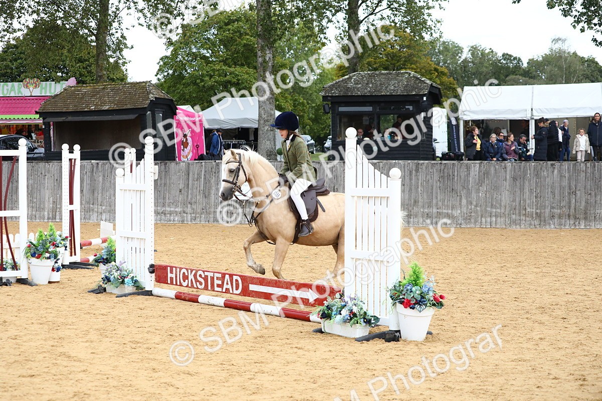 SBM_68098 - J3b - Mini Tour Junior Pony 40cm Championship