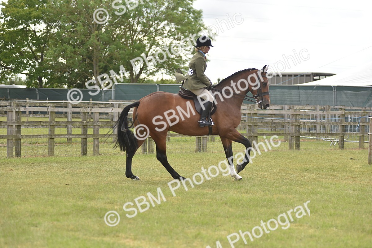 SBM_18176 - Class 122-123 - LIHS BHSA Raising Star Style and Performance Series