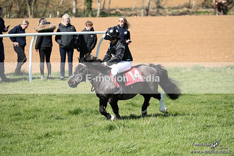 Shet 060426 327 - Shetland Pony Racing Paxford Races Easter Mon 06/04/26