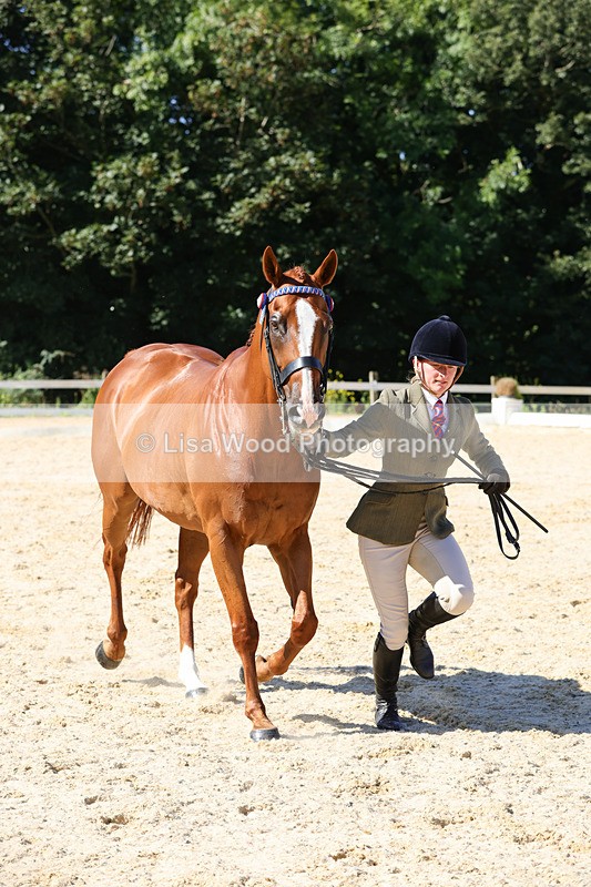 1X9A7931 - Class 10:Riding Horse